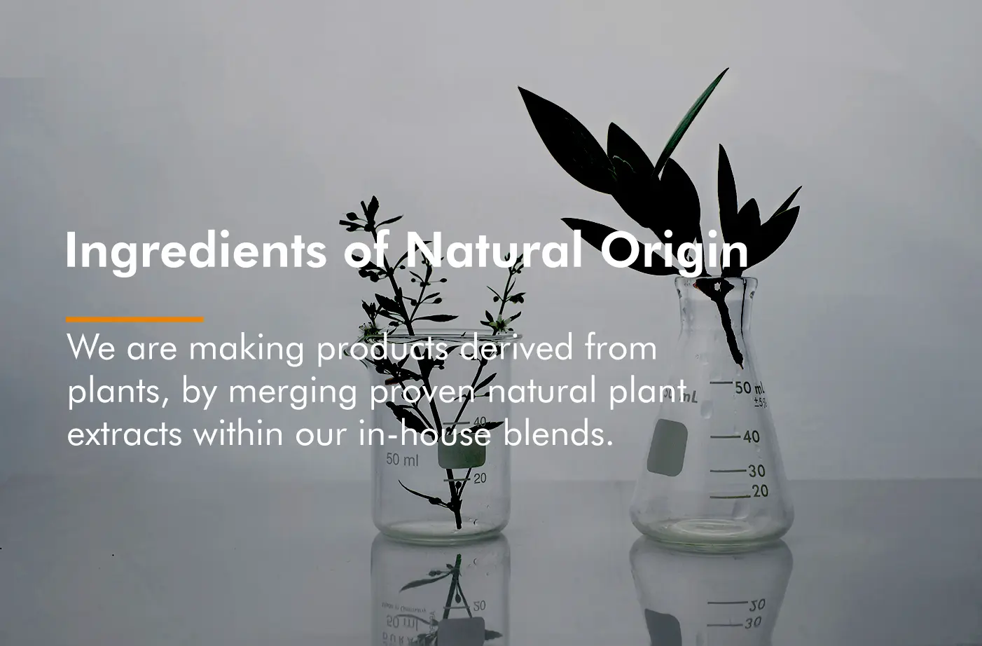 Our products derived from plants